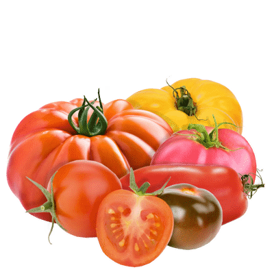 Tomates