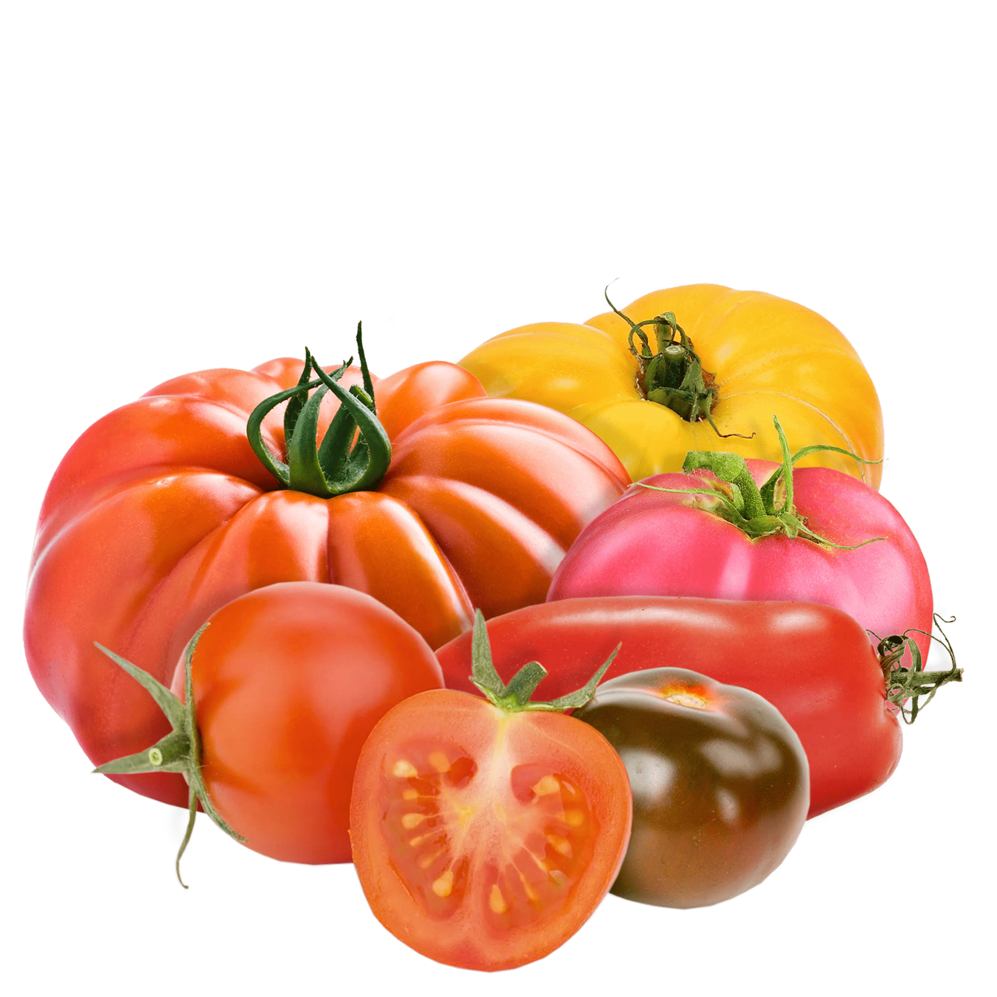 Tomates
